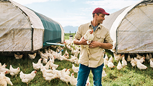 Are you ready for the future of chicken?
