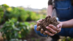 Discover strategies to future proof food safety